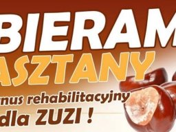 Szkolna zbiórka kasztanów dla Zuzi &raquo; Szkolna zbiórka kasztanów dla Zuzi